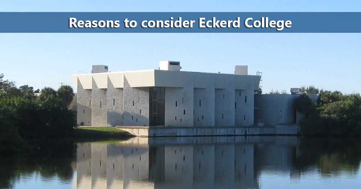 5050 Profile Eckerd College Do It Yourself College Rankings How