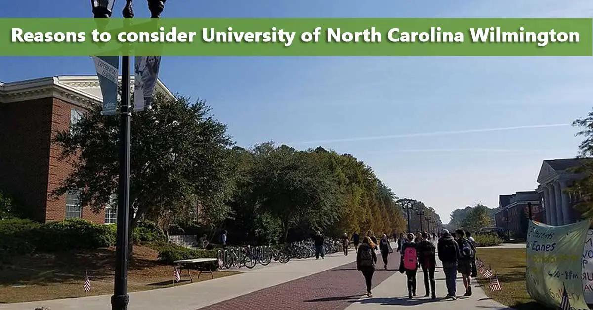 50-50 Profile: University of North Carolina at Wilmington – Do It ...