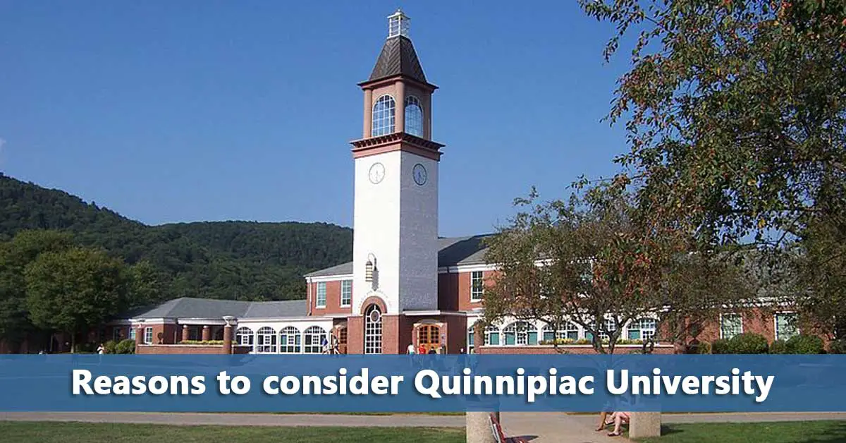 5050 Profile Quinnipiac University Do It Yourself College Rankings