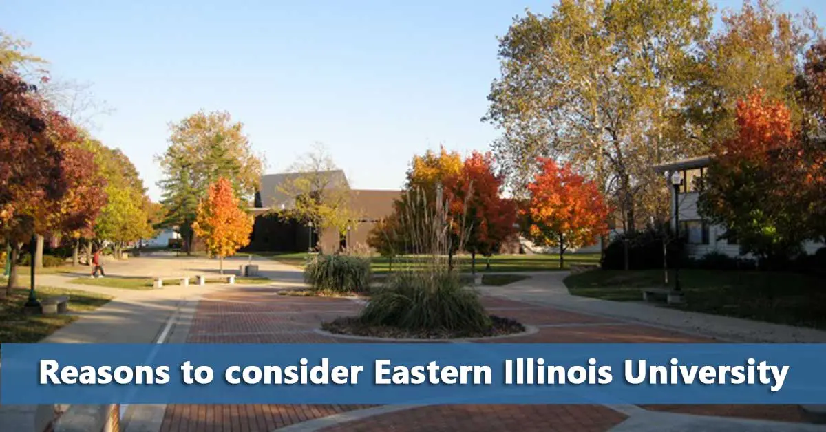 50-50 Profile: Eastern Illinois University – Do It Yourself College ...